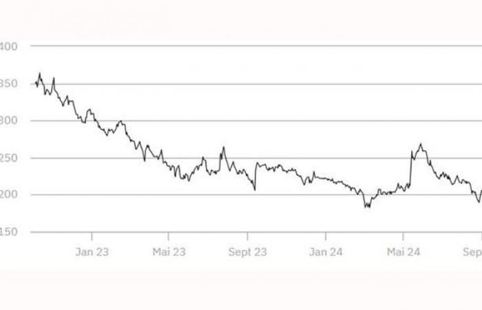 Los precios del trigo y el maíz suben en Euronext