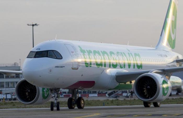 Transavia se expande en la región y ofrece nuevos destinos para el verano de 2025