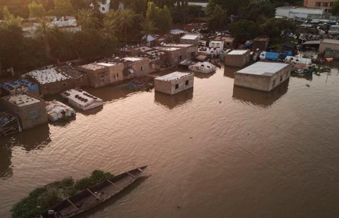 Países africanos donde se pronostican precipitaciones superiores a la media desde octubre de 2024 hasta febrero de 2025