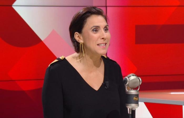 Bruno Retailleau, “portavoz de la RN” según la diputada de RN Laure Lavalette