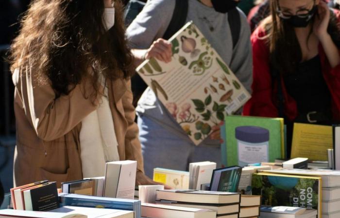 ¿Cuál es la fecha de la próxima feria del libro en Esternay?