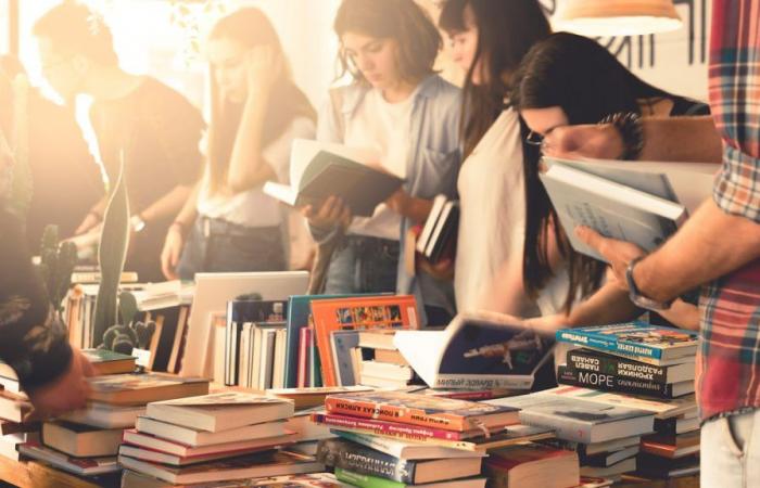 Las bibliotecas de Gironda venden todos sus libros y CD a 1 euro en Burdeos