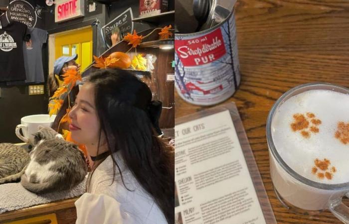 Café Chat l’Heureux abre una segunda sucursal en Montreal, para el deleite de los “cat lover”