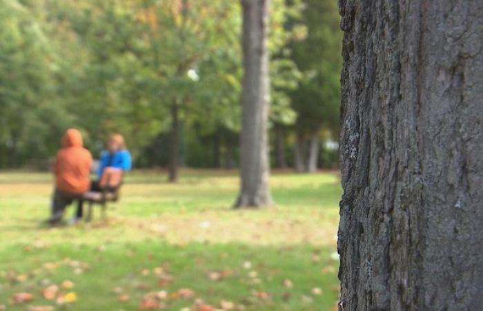 Un mes sin profesor para una clase en Shawinigan