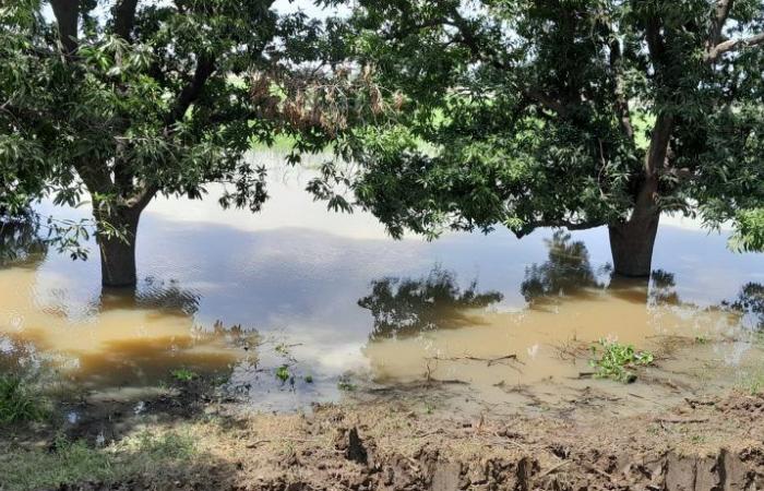 ¿Cómo prepararse mejor para las inundaciones y los riesgos climáticos y para la salud?