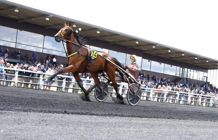 Un campo elegido para el Gran Premio Anjou-Maine