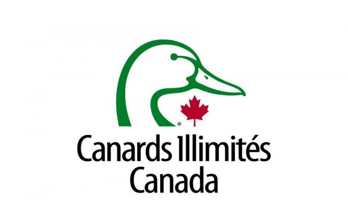 Ducks Unlimited Canada lanza un innovador programa de membresía para fortalecer el impacto de la conservación – Country Living