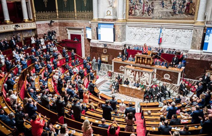 Vergüenza en la RN tras el reclutamiento de un activista neofascista para la Asamblea