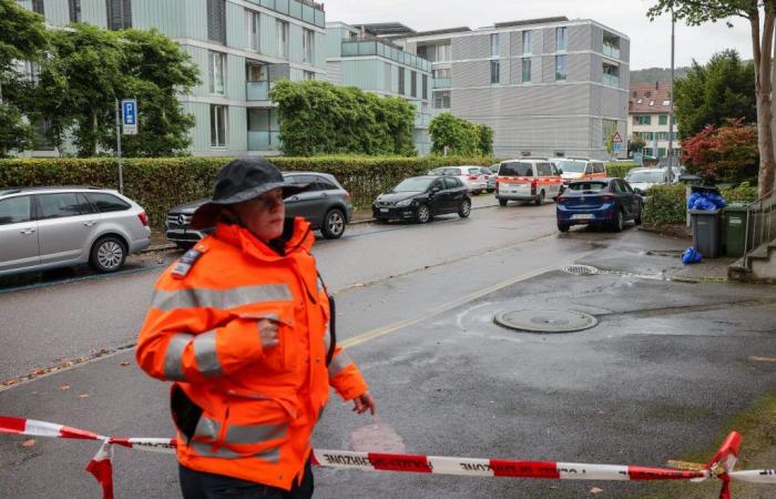 Ataque con cuchillo hiere a tres niños en Zúrich y se detiene al presunto agresor