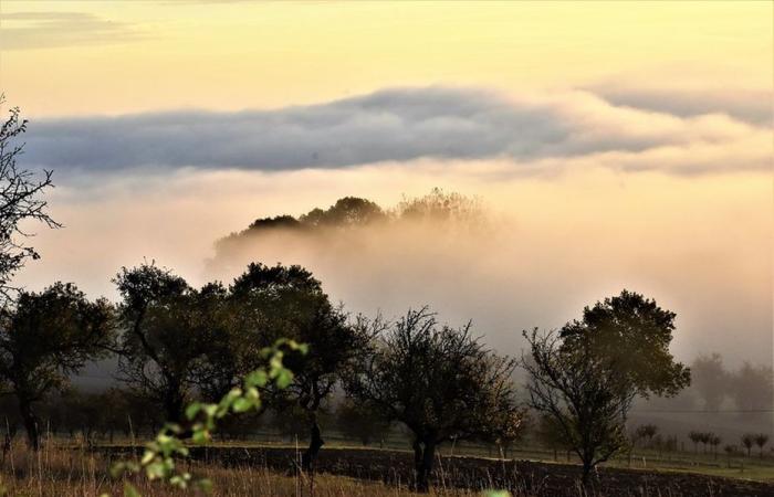 inestable y fresco en el norte, lluvioso y templado en el sur.