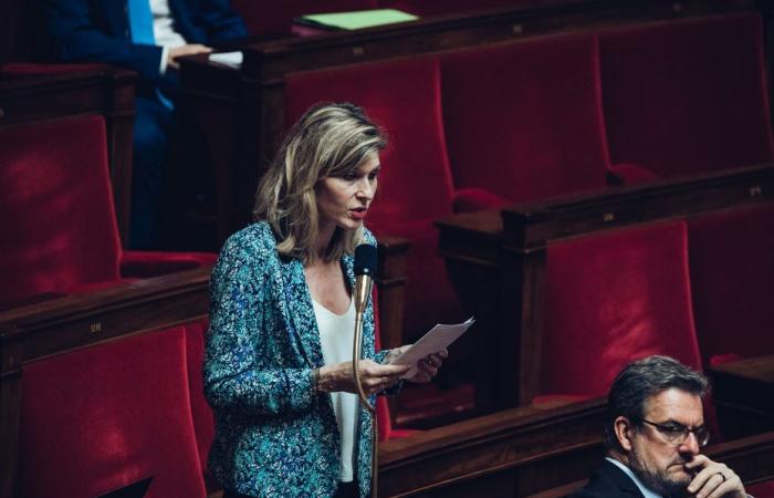 La diputada de Alta Saboya, Virginie Duby-Muller, candidata a suceder a Genevard como vicepresidenta de la Asamblea