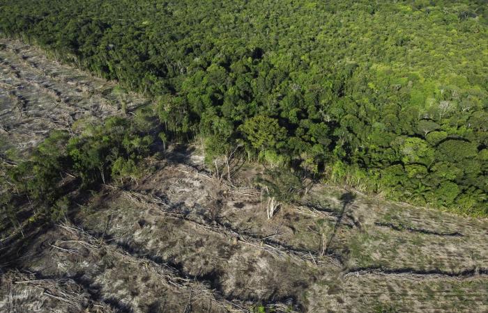 “La agricultura industrial está en quiebra”