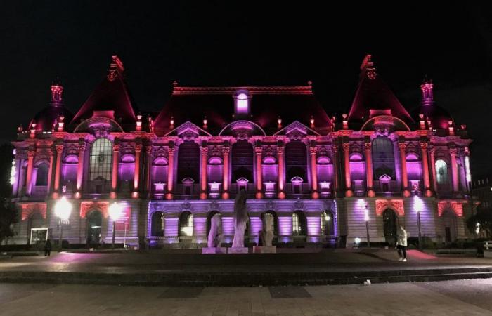 El Palacio de Bellas Artes de Lille está activo para el Octubre Rosa – 10/01/2024