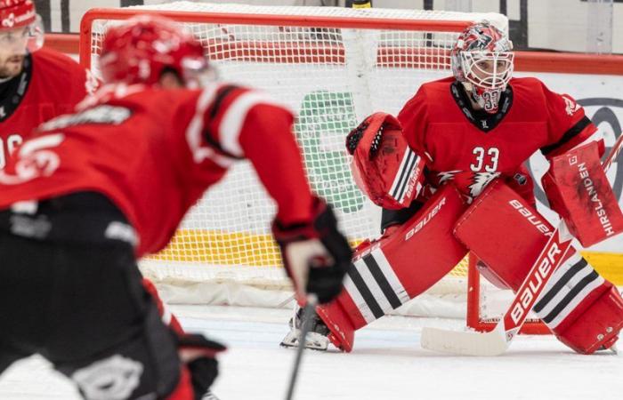 El LHC comienza su semana con la recepción del HC Bienne hoy en el estadio Vaudoise – Lausanne HC