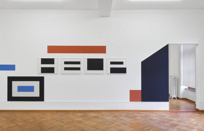 En el Centro de Arte Bienne, Nathalie Du Pasquier y Olivier Mosset suman los colores