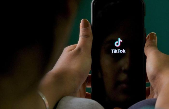 ¿Qué es “Tanaland”, este país ficticio inventado por mujeres víctimas de la vergüenza en TikTok?