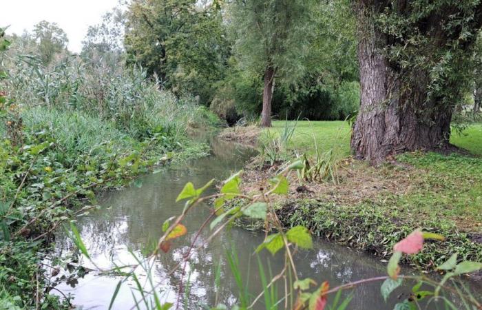 Se mantienen los ríos Bionne y Cens por motivos de biodiversidad y riesgos de inundaciones.