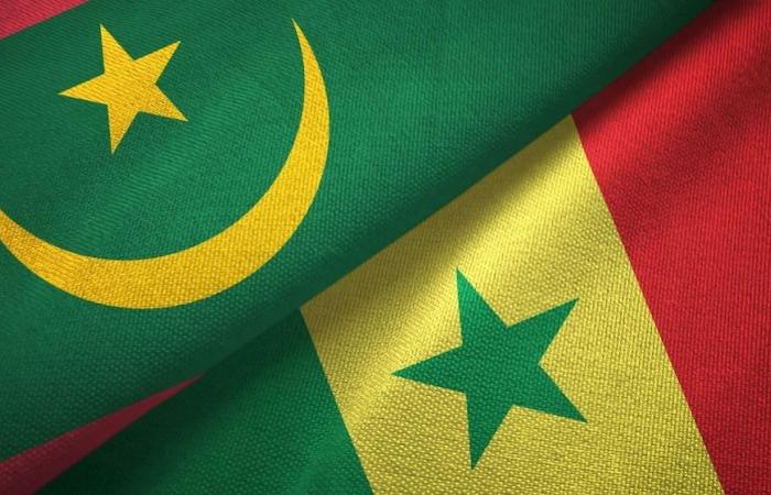 COOPERACIÓN / Serigne Guèye Diop analiza los “grandes desafíos de desarrollo” para Senegal y Mauritania