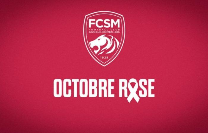 Octubre Rosa 2024: El programa FCSM