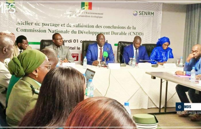 SENEGAL-MEDIO AMBIENTE / Daouda Ngom aboga por la revitalización de la Comisión Nacional para el Desarrollo Sostenible – Agencia de Prensa Senegalesa