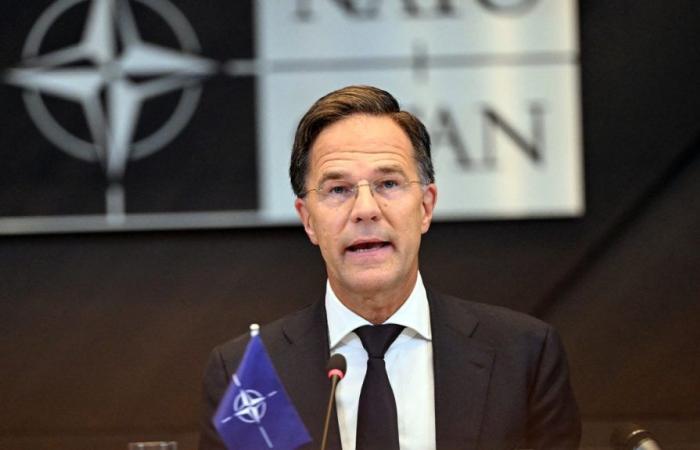 El nuevo jefe de la OTAN, Mark Rutte, apoyará a Ucrania, sin preocuparse por las elecciones presidenciales de EE.UU.