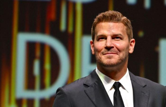 El triste motivo de la salida de David Boreanaz de la serie Seal Team