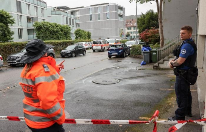 Tres niños heridos en un ataque “violento” en Zúrich y un hombre detenido