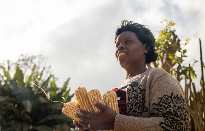 “La agricultura industrial está en quiebra”