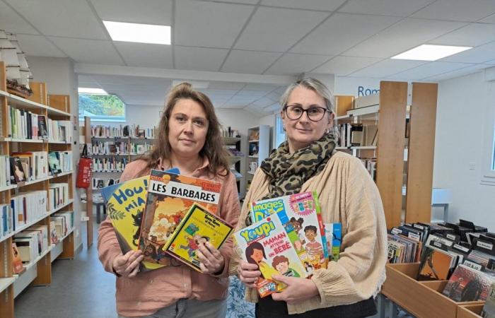 Cerca de Guingamp. Más de 5.000 libros usados ​​a la venta por dos euros o menos