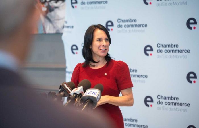 Quebec debe mostrar flexibilidad a la hora de aplicar la normativa sobre las zonas inundables, dice Valérie Plante