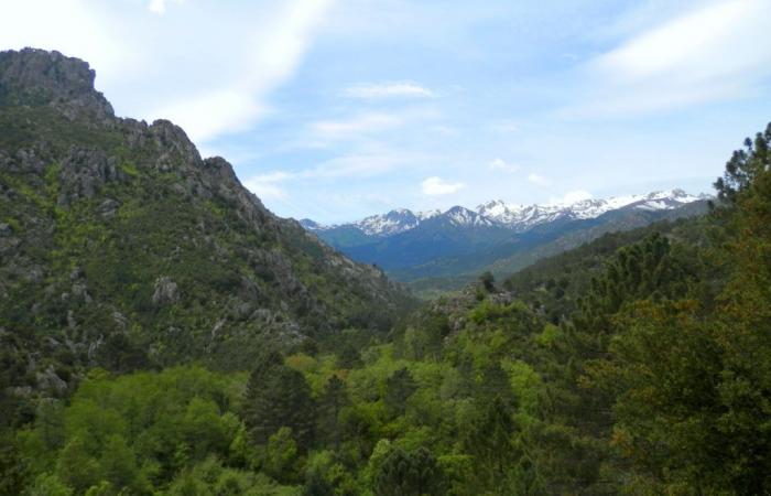 Reapertura de las termas de Pietrapola-les-Bains en el este de Córcega