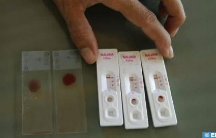 La malaria se propaga en el sur de Argelia