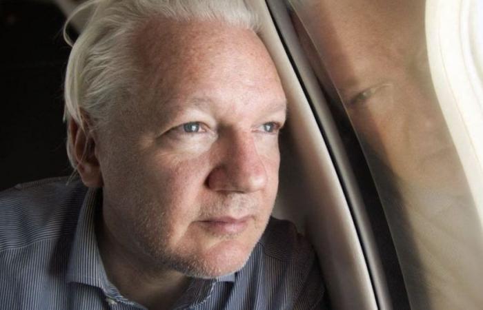 Video. Julian Assange ante el Consejo de Europa: vídeo en directo