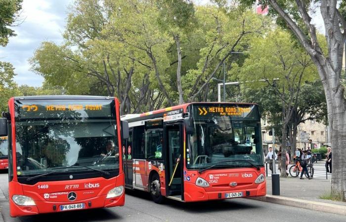 todos estos autobuses RTM están interrumpidos