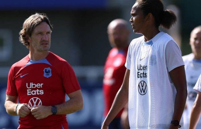 Laurent Bonadei marca el rumbo de Les Bleues