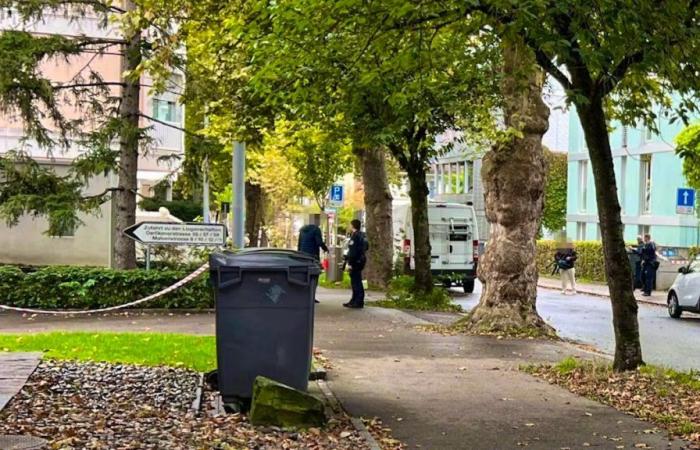 Un niño herido con arma blanca ya no corre peligro de muerte