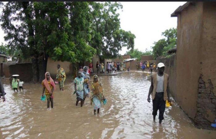 Las inundaciones provocan un aumento de los casos de malaria en el extremo norte