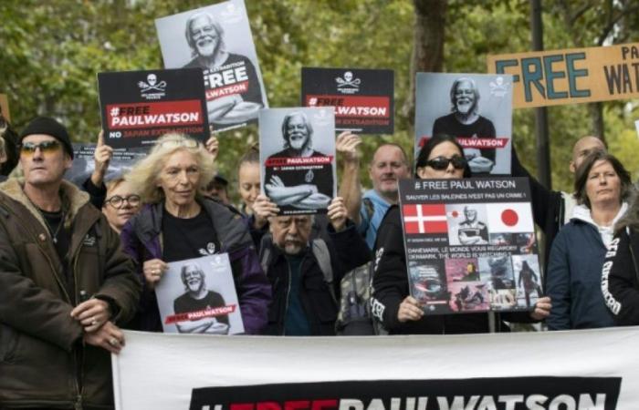 El activista medioambiental Paul Watson permanece detenido hasta el 23 de octubre: Noticias