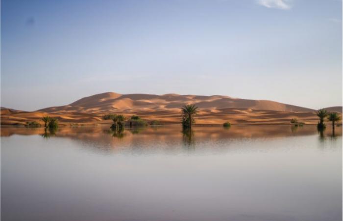 Fotos. Merzouga, un oasis inesperado tras unas lluvias excepcionales