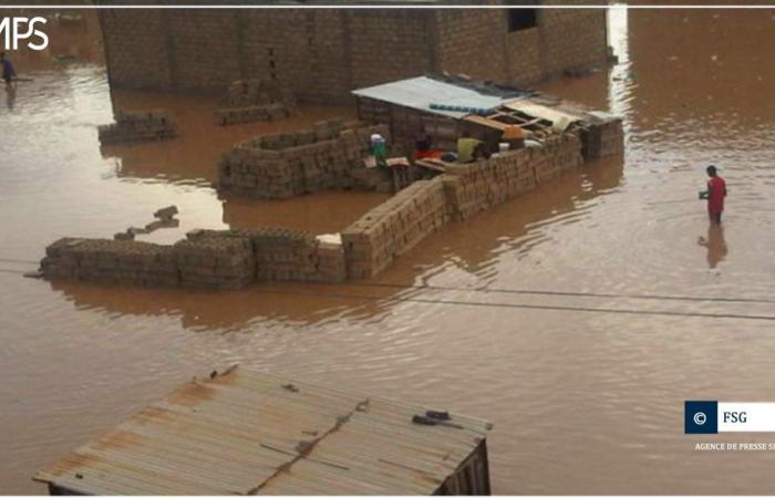 SENEGAL-INTEMPERIES / Las aguas del río invaden 43 casas y numerosas plantaciones de arroz en el departamento de Kanel – agencia de prensa senegalesa