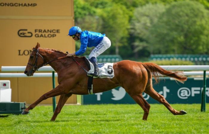 Galashiels puede volver al éxito en el Prix Scaramouche