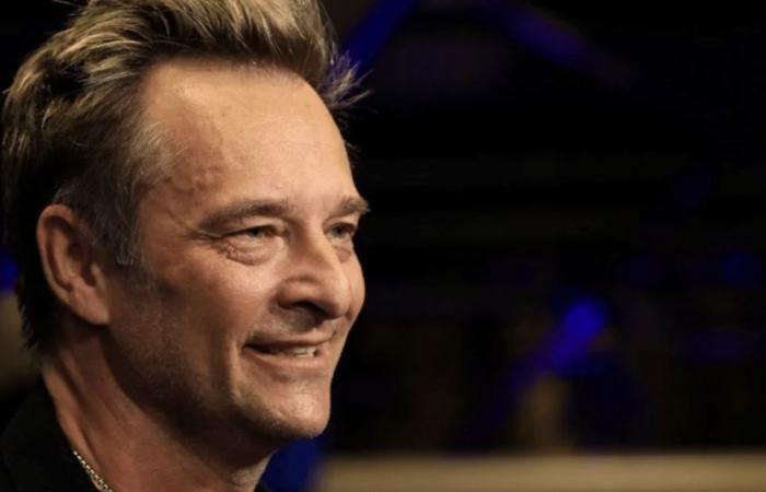 “Brotó en mi mente”, David Hallyday listo para revivir a Johnny en el escenario, su hermoso anuncio en Anne-Elisabeth Lemoine