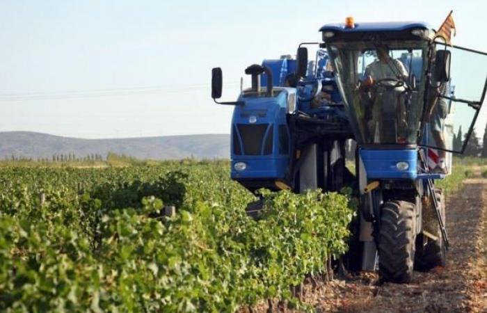 Un viticultor muere tras la explosión de un pulverizador