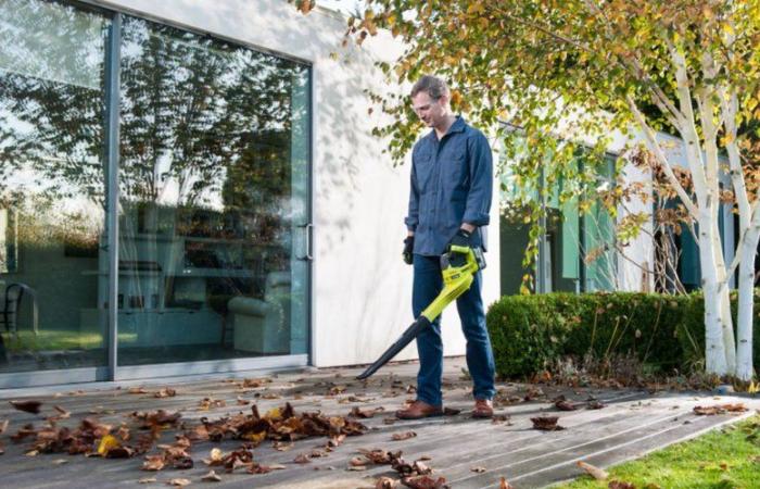 Muy popular durante la temporada de otoño, este soplador de hojas de Ryobi se beneficia de una reducción