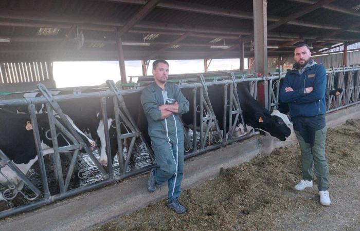 Abandonados por Lactalis, estos agricultores del Loira Atlántico se sienten traicionados