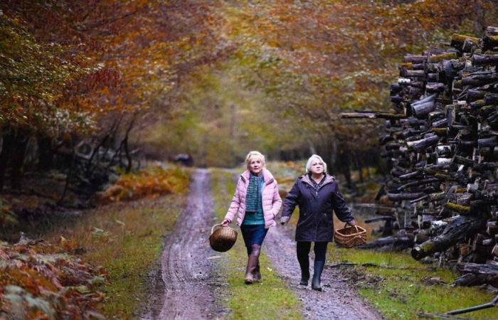 ¿Qué películas ver en el cine este miércoles 2 de octubre? Nuestro repaso de la semana, con la inquietante “Cuando llegue el otoño”