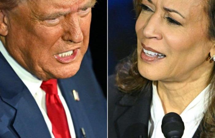 Molestas encuestas para evaluar a Donald Trump y Kamala Harris