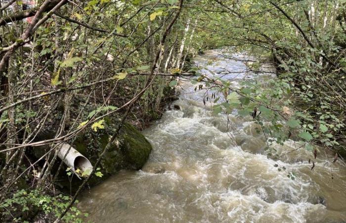 Los ríos Broye y Flon (VD) contaminados con fueloil – rts.ch