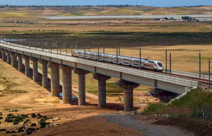 La empresa española Ineco modernizará las conexiones ferroviarias de Tánger y Tetuán – Maghreb Intelligence