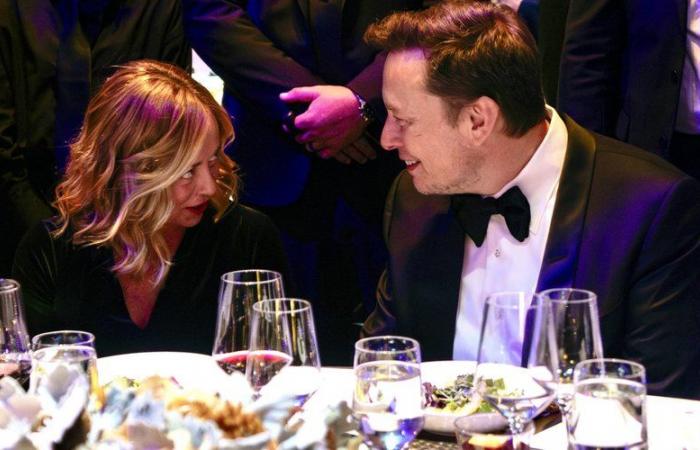 ¿Qué está pasando entre Elon Musk y Giorgia Meloni?